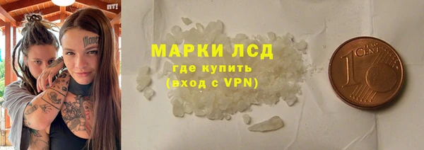 прущие грибы Карталы