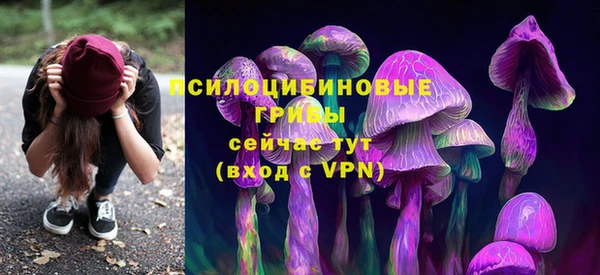 меф Кинешма