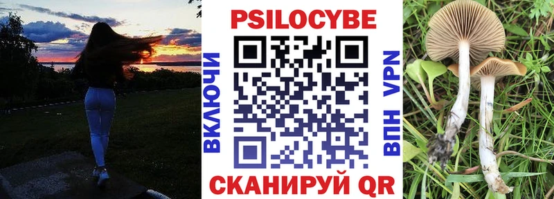 Купить  Белоярский  Псилоцибиновые грибы Psilocybine cubensis 